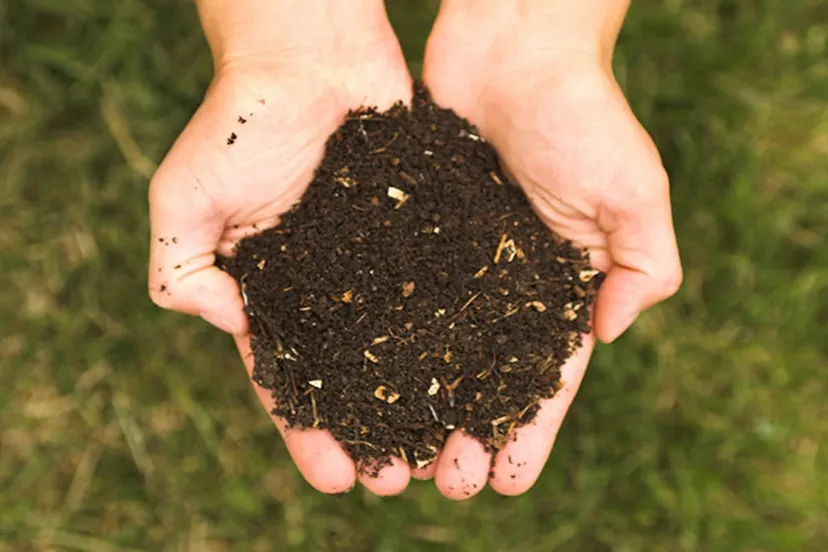 lkta9s84id6x2wlvbmgplob50 compost