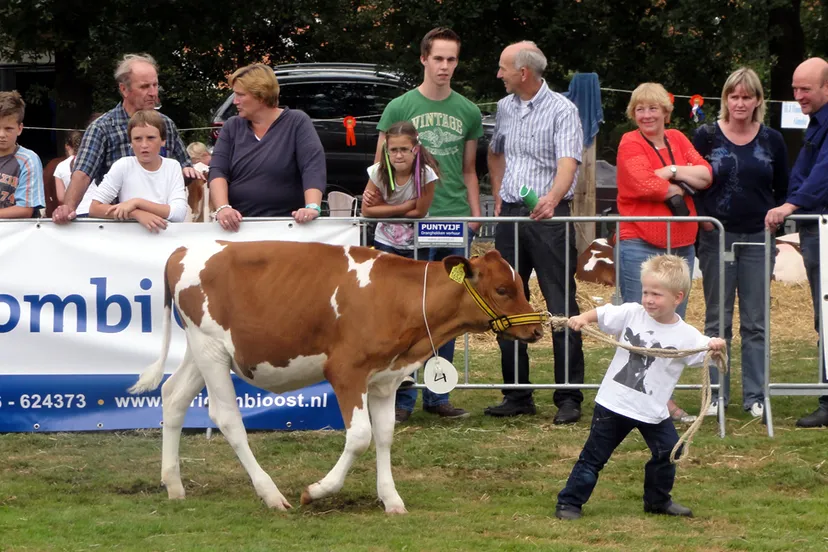 lomse8v4e0l8yud9jpd2748w0 dsc01497