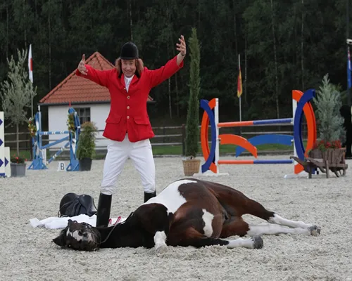 lv9kvtynnx1fcxpi9snxz7e44 130370