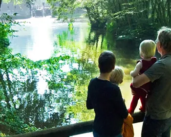 lvrt7wa4imba78zo0x5isfp27 171351