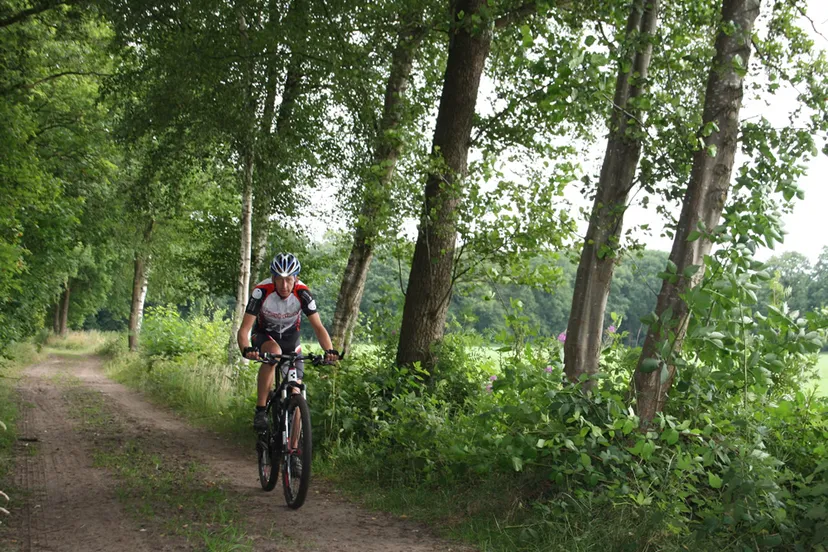 m7eu4l5ki6a8bxm56hcuiya4z img4273