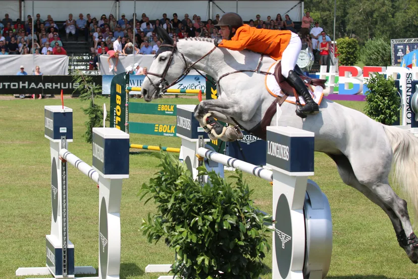 maikel van der vleuten nc dana blue