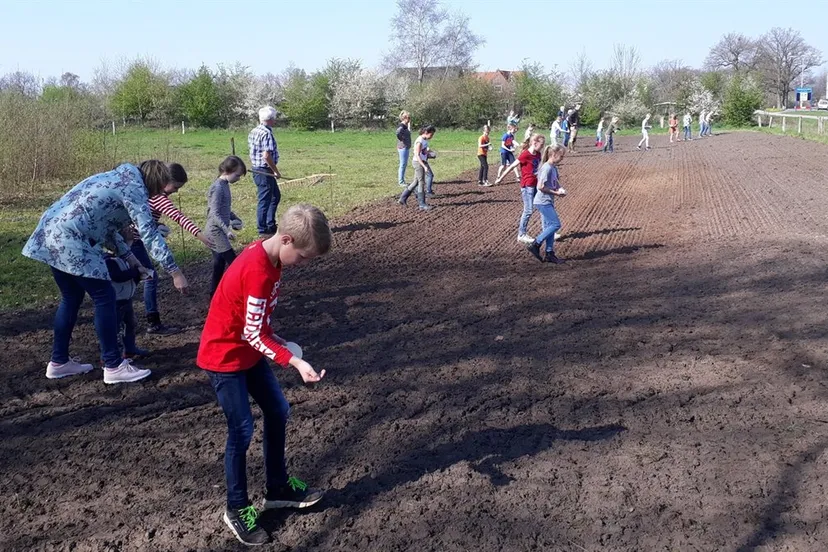 mariaparochie schoolkinderen inzaaien