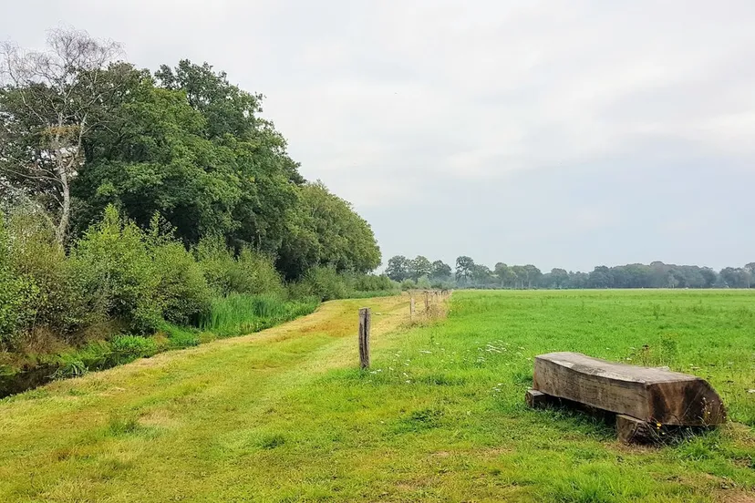 markgraven rob wolfs