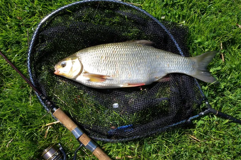 md3hlqie82vxc0kvp1dfsgk7s vis