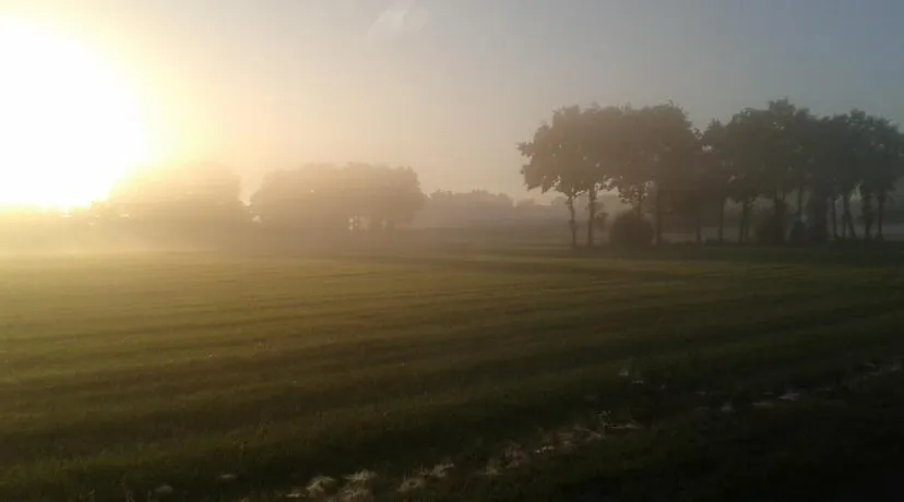 meijersweg geesteren