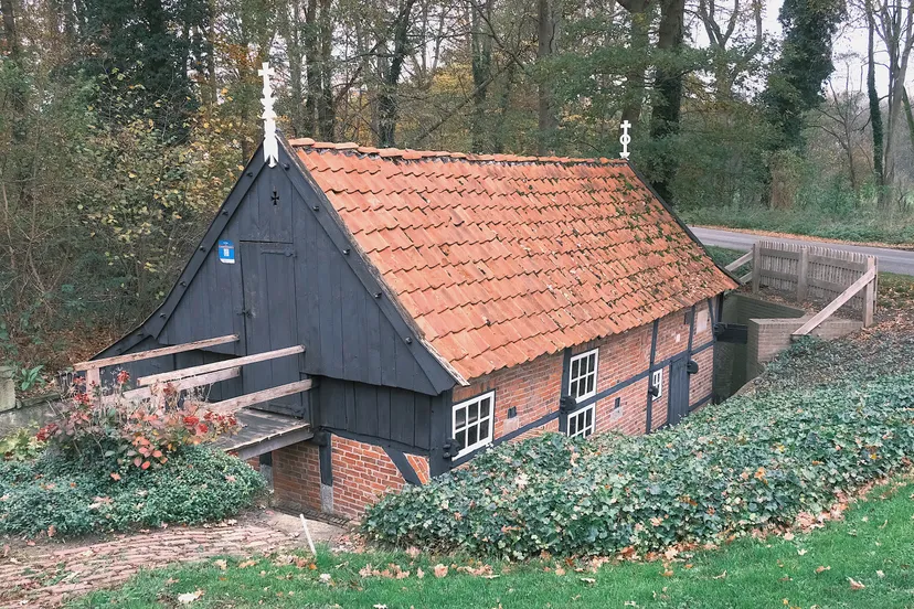 molen vasse