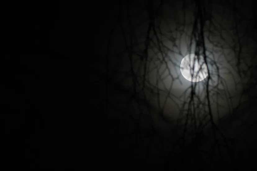 mrjgbxhg3mld1jqy65n937bte maan