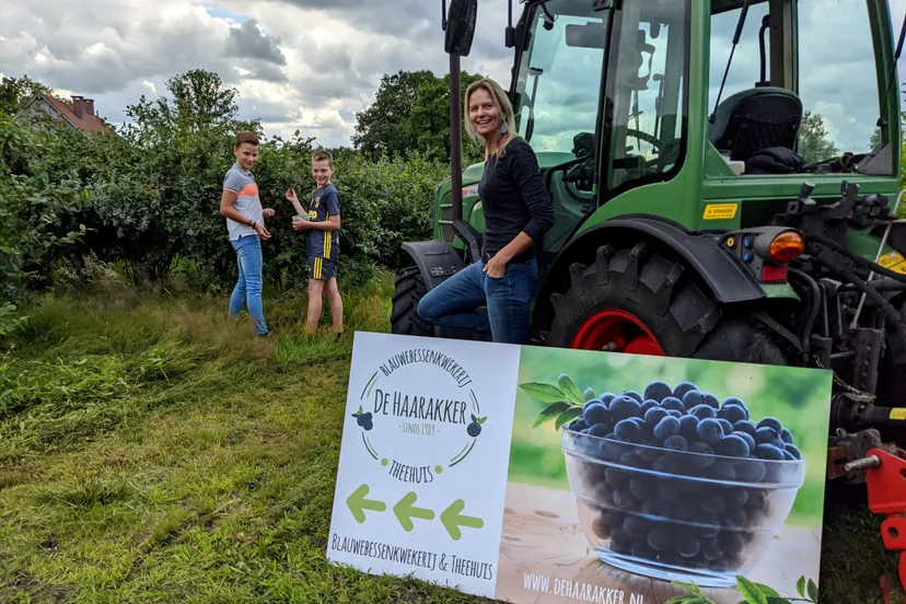 mvimg 20200711 131504