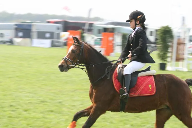 o0siw9nwmyl3xsdexrbqu99vq 09eded03796df11e507dd0de39527c961763488840