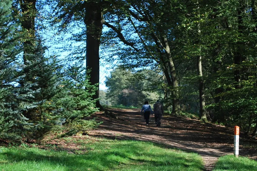 o7jqgqc810rwe73y3ywfvurju natuurwandeling