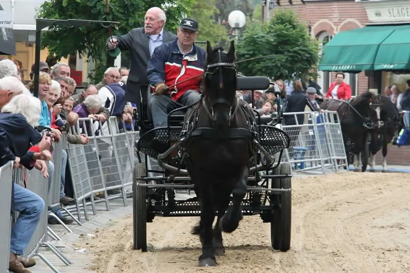 o81fzeqekootcq3asi3plrghg 165573