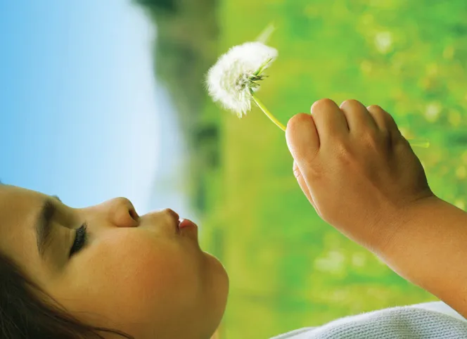 o9qrg57c1qqlv78t9ezuiaxrg kind met paardenbloem