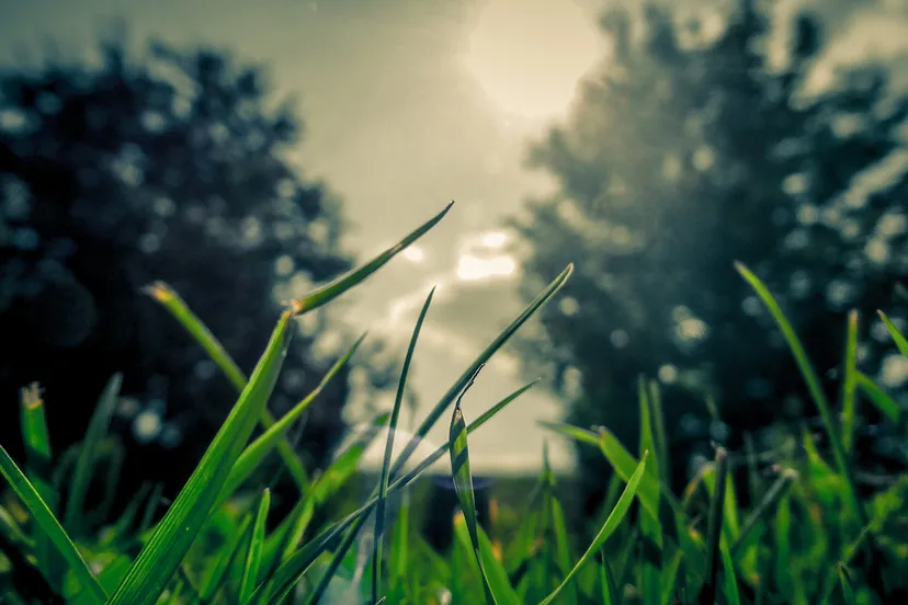 ofltw4ud0n3tgvb3pfdji3s82 gras