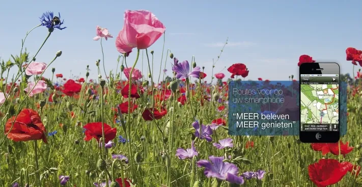 oifeudyzgm18tslqt43jg1jlo 232990