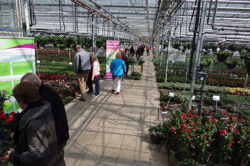 ouw8s13hkybzxilczocmbgx2z foto tubbergen redactioneel stuk