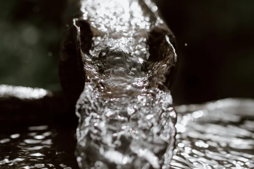 pexels eberhard grossgasteiger 4406593