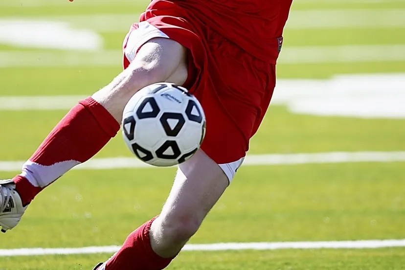 pexels pixabay 159684 e1602281201754