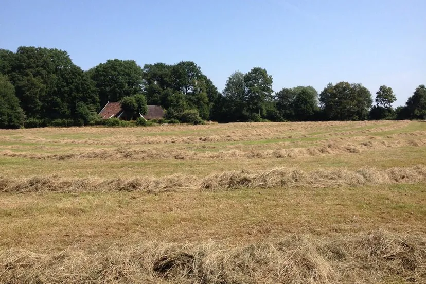 phc387uiijj4cvydyruuv13w8 hooi