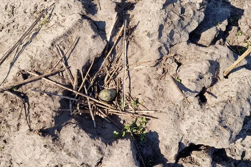 photo 2022 03 13 14 14 46