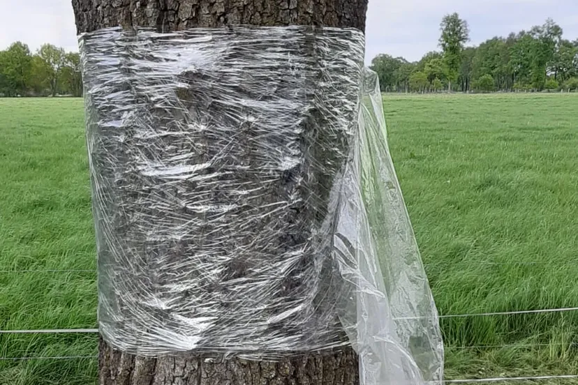 plastic folie om eik