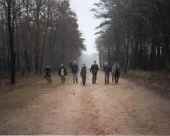 pp283sufbk7c5o9owivyi7yia 153067