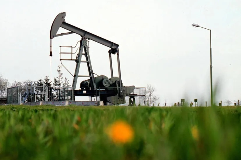 pwlx2jj8pmvj4uy21ud6cw59i jaknikker gerard til