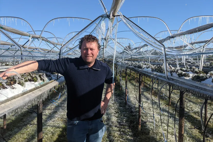 pxl 20210414 071548027 exported 1332 1618386369596