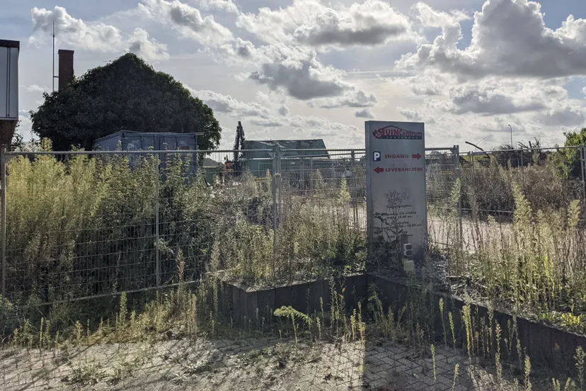 pxl 20210928 124139676mp