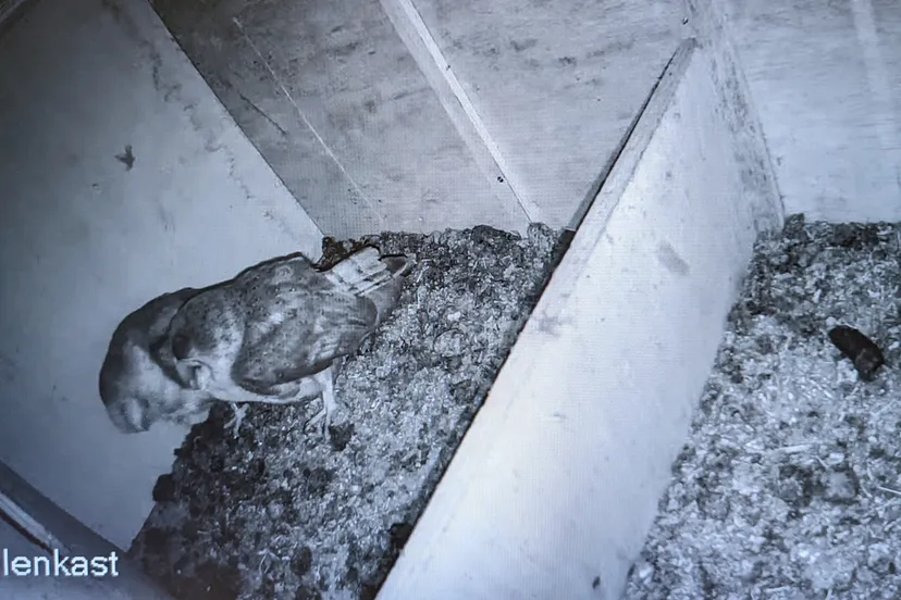 pxl 20230314 180044047