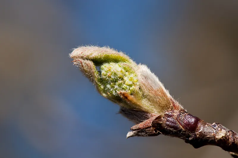 qap9kz441quflk7o5uexrng4t knop