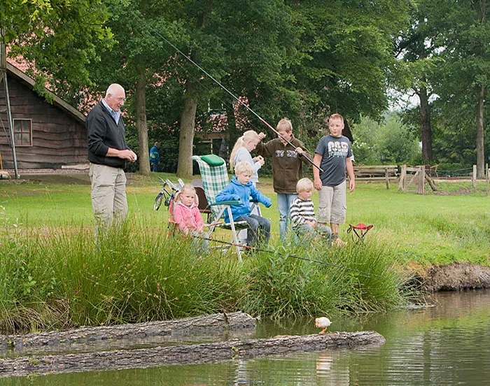 qd1tko67x7scm6uqhmlrdd8tf 196012