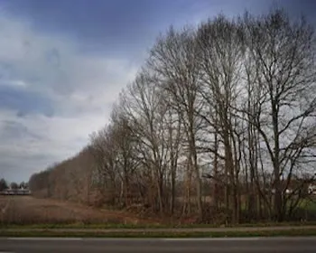 qqgitjuwlwsvrhqfxnyuhblid 184295