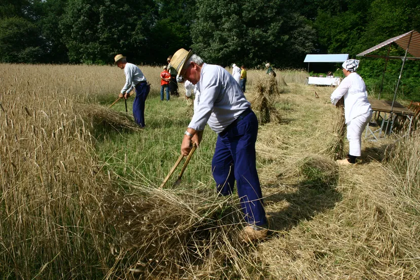 qqlsencusg9f0vp4kbi53wxin oogstdag