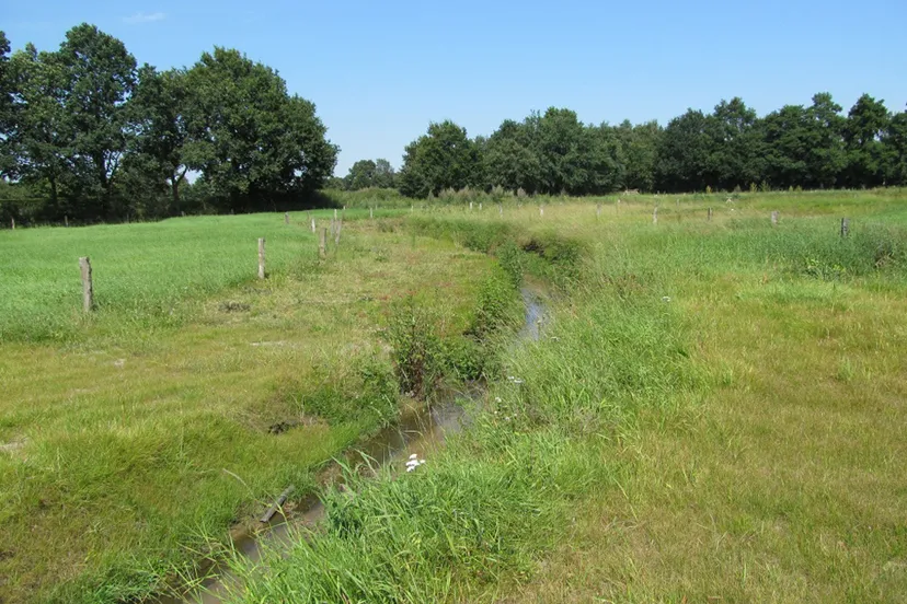 r0osma6am8av0fzuehjoz7mj0 222828