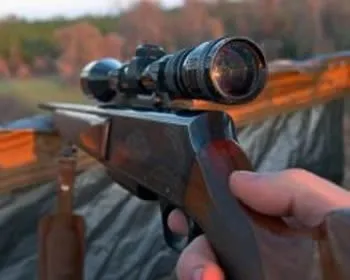 rawea0ksou4xov8ec8vkvz6vb 183558