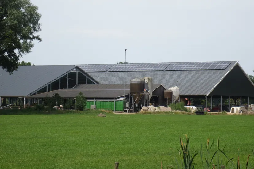 rqnpsk8fhn1cqvetezfskts4s boerenbedrijf met zonnepanelen