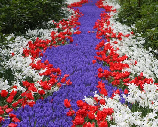 s8kj3e3zvwc42g8tfa4v24yyc 138649