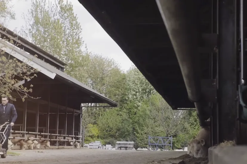 schermafdruk 2017 05 12 142708