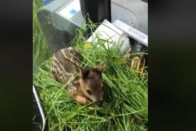 schermafdruk 2020 06 04 211928