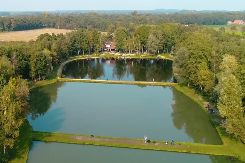 screenshot 2017 10 23 101226