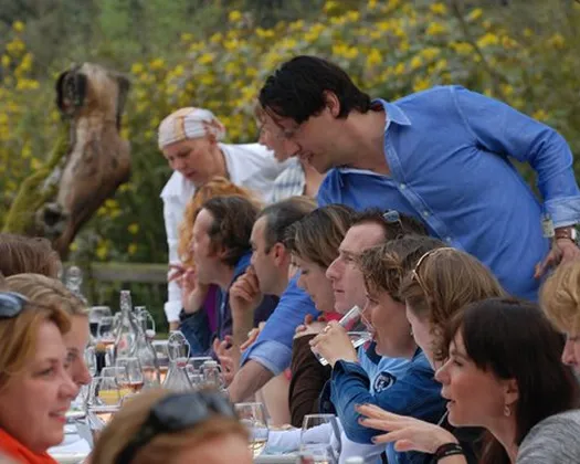 sds1us8ovx1w6xm8kbkua4woz 228084