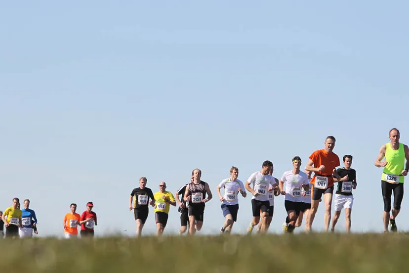 sj2lv9cx81qrmqg6uduwmwvrg hardlopers chris schotanus