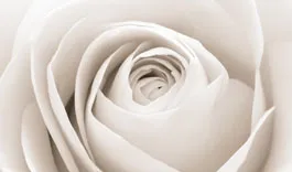 sjfpo7eaxgss56qz4vrjfxv8p begrafenisuitkeringtcm375 102610