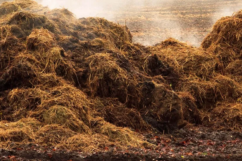 smh1bhwk9rfyl7nabplixb10b mest