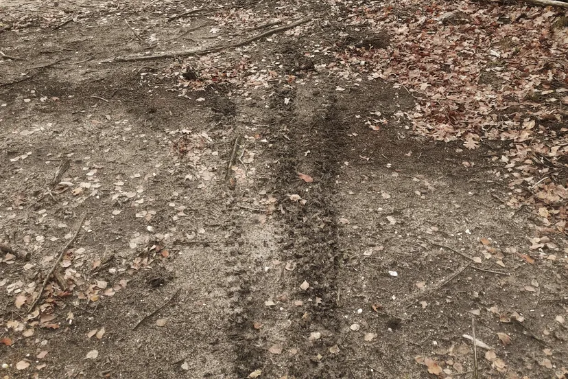 springendal crossmotoren 2