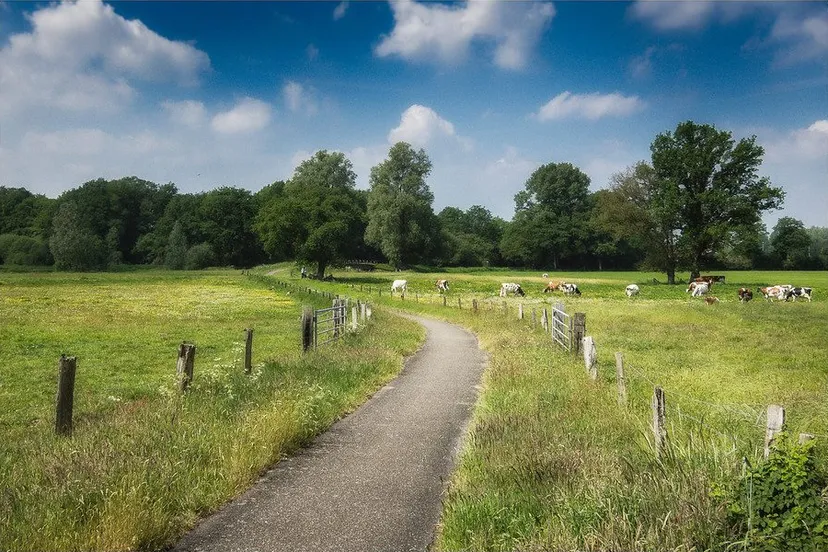 srw3bc0gy63cys5c57g07041d aardbei aspergetocht