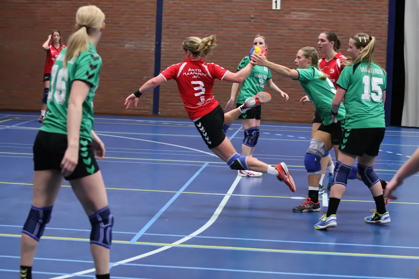 stevo 1 dsvd 2 foto cb 100a