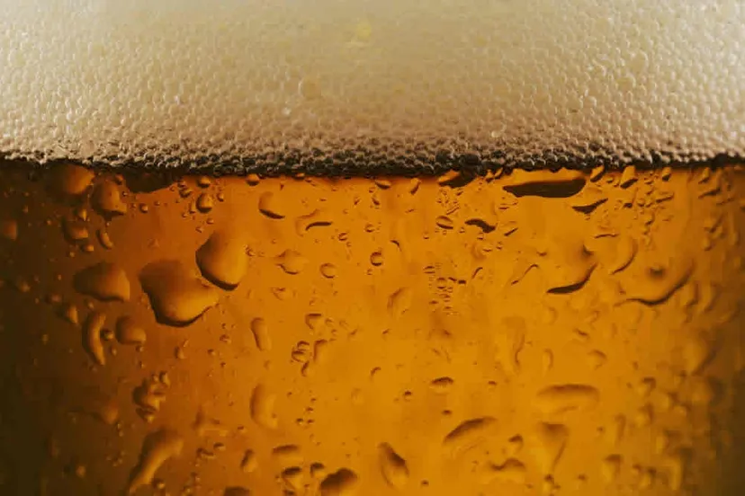 sw2hhwdn20ag02tbxcl38mkzn bier