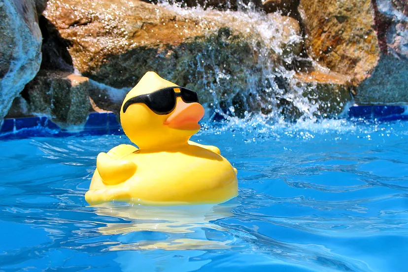 tbxx5hr971pfxzkh3amwx2vjn pool party